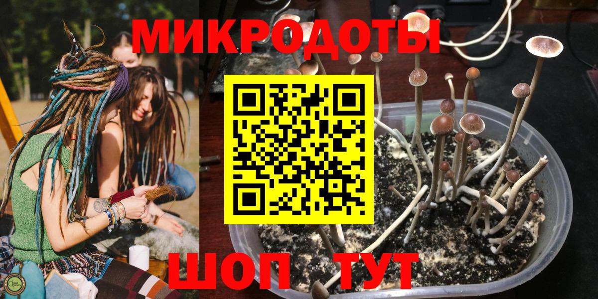 Краснокаменск  Псилоцибиновые грибы Psilocybe  Вход с VPN  Псилоцибиновые грибы прущие грибы 