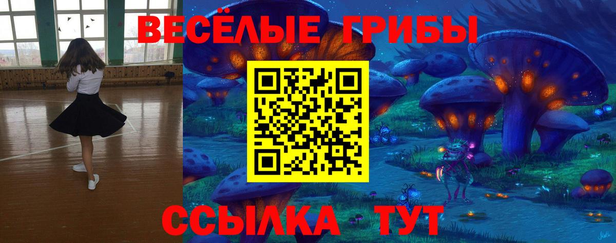 Псилоцибиновые грибы мухоморы Краснокаменск
